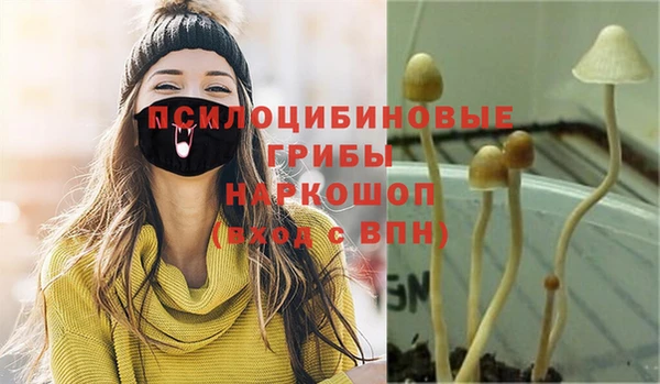 марки nbome Алзамай