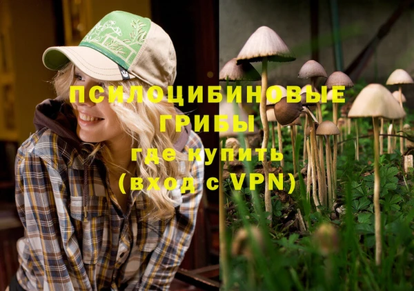 ГАЛЛЮЦИНОГЕННЫЕ ГРИБЫ Алексеевка