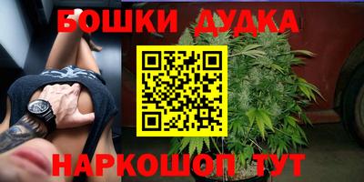 ПСИЛОЦИБИНОВЫЕ ГРИБЫ Кандалакша
