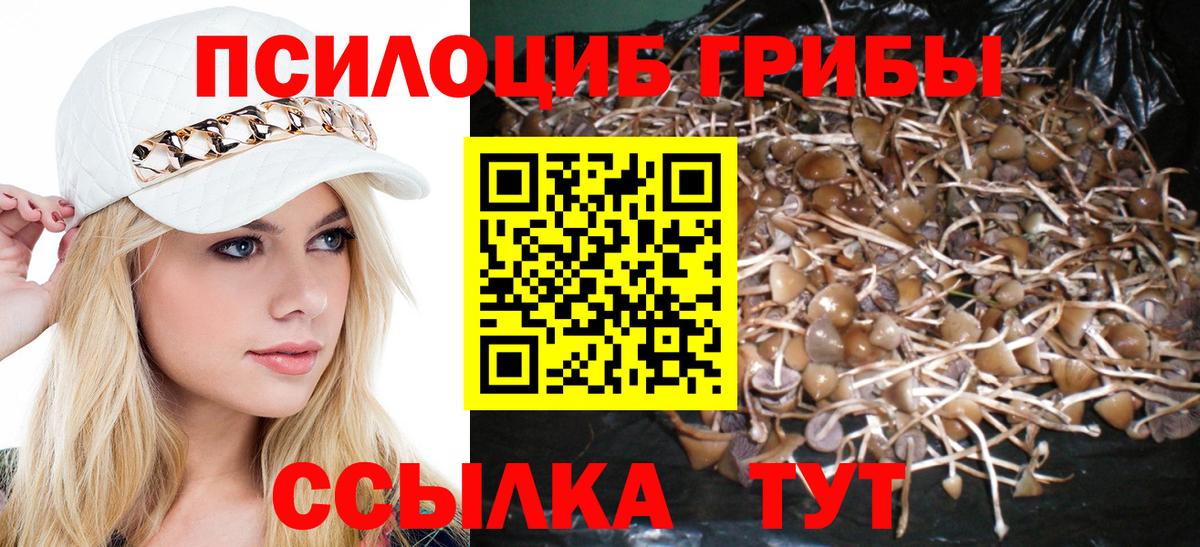 Галлюциногенные грибы MAGIC MUSHROOMS Ливны