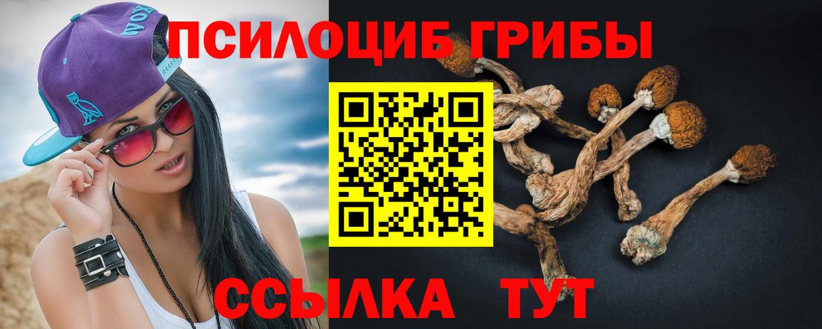 Ливны  Галлюциногенные грибы мицелий  Вход с VPN  Галлюциногенные грибы Magic Shrooms 